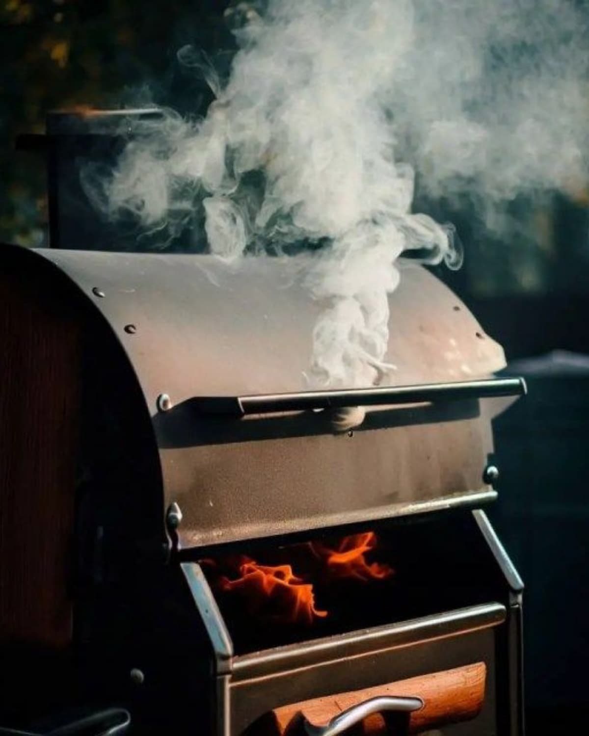 Effiloché de viande fumée servi en barquette, street food au feu de bois